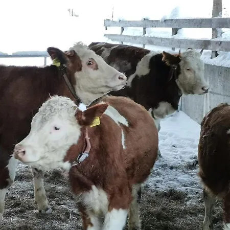 Σπίτι διακοπών Weber-haeusl *