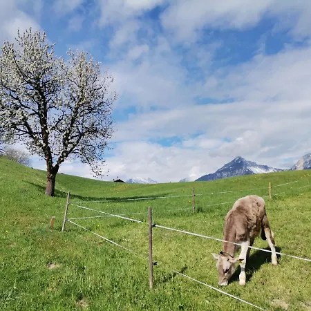 Σπίτι διακοπών Weber-haeusl