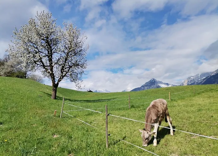 Vakantiehuis Weber-haeusl