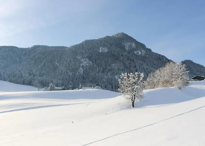 Weber-haeusl Reith im Alpbachtal