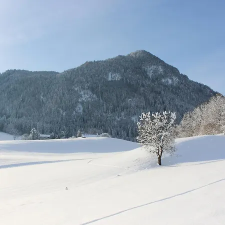 Weber-haeusl Reith im Alpbachtal
